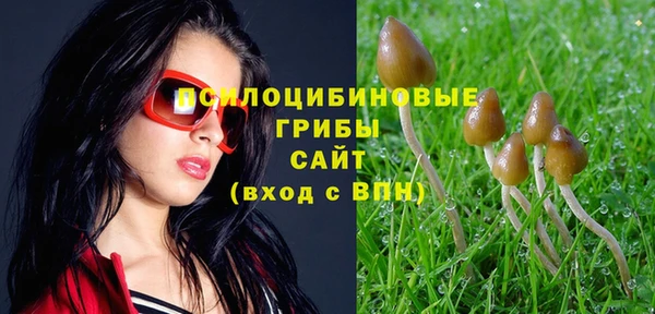ПСИЛОЦИБИНОВЫЕ ГРИБЫ Алзамай