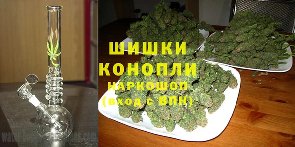 ПСИЛОЦИБИНОВЫЕ ГРИБЫ Алзамай