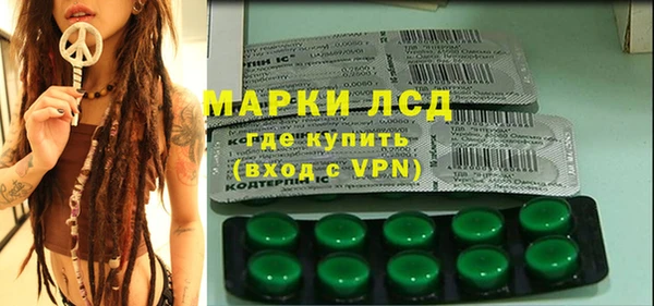 ПСИЛОЦИБИНОВЫЕ ГРИБЫ Алзамай