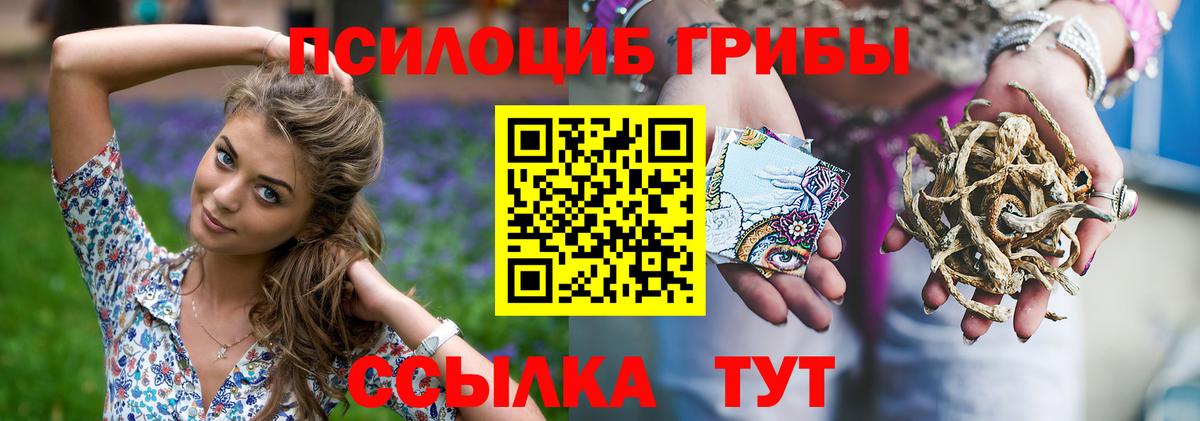 Кольчугино  цены наркотик  Вход с VPN  Галлюциногенные грибы GOLDEN TEACHER 