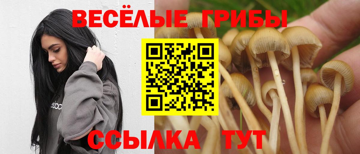Псилоцибиновые грибы ЛСД Кольчугино